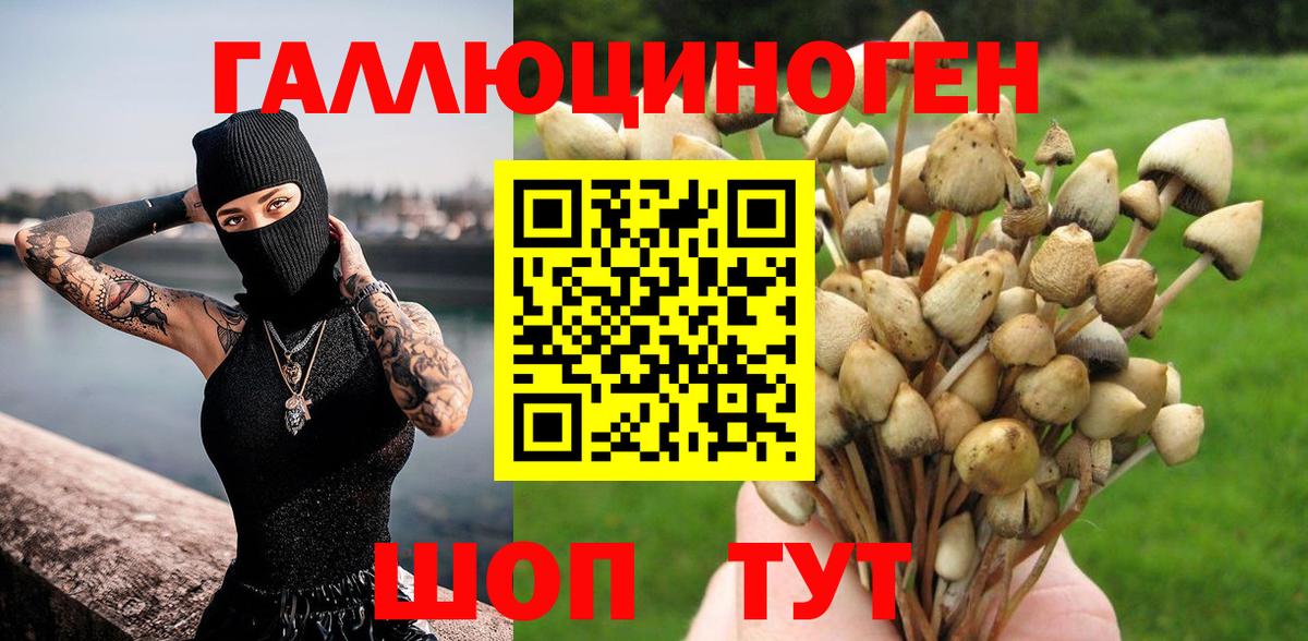 Урюпинск  Псилоцибиновые грибы Psilocybine cubensis  Вход с VPN 